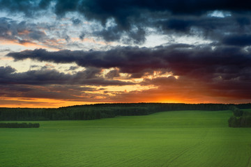 Fototapeta premium sunset and thunderstorm over the field