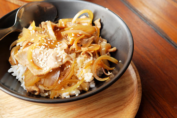Japanese rice with pork