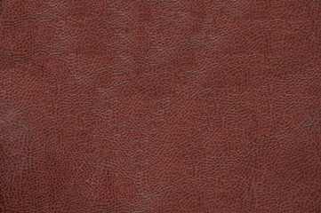 Dark brown leather texture 