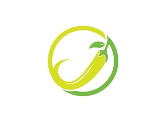 Chili logo vector template design