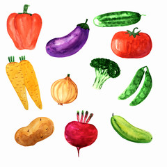 watercolor set of juicy healthy vegetables: tomato, potato, pepper, eggplant, zucchini, broccoli, peas, carrots, beets, onions
