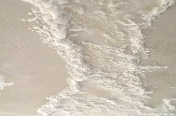 White mildew powdery appearance on ceiling