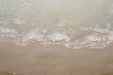 Blurry White mildew powdery appearance on ceiling