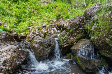 Stormy mountain river in the forest in Altai, Russia