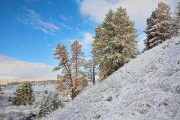 First Snow In The Autumn