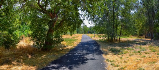 Views of Jordan River Trail with surrounding trees, Russian Olive, cottonwood and silt filled muddy water along the Wasatch Front Rocky Mountains, in Salt Lake City, Utah.