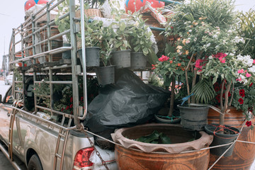 cargo car, in the back of which flower pots with flowers for sale. CLOSE UP PHOTO