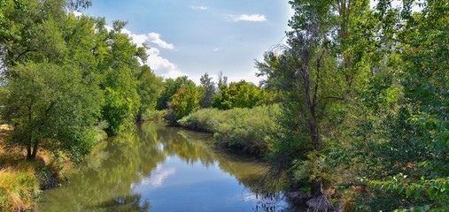 Views of Jordan River Trail with surrounding trees, Russian Olive, cottonwood and silt filled muddy water along the Wasatch Front Rocky Mountains, in Salt Lake City, Utah.