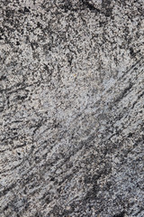 Photo of grey design on cement and concrete texture for pattern and background