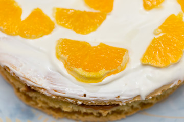 fruit cake with milk cream and fruit