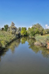 Views of Jordan River Trail with surrounding trees, Russian Olive, cottonwood and silt filled muddy water along the Wasatch Front Rocky Mountains, in Salt Lake City, Utah.