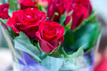 fresh red roses in a bouquet as background