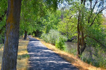 Fototapeta na wymiar Views of Jordan River Trail with surrounding trees, Russian Olive, cottonwood and silt filled muddy water along the Wasatch Front Rocky Mountains, in Salt Lake City, Utah.