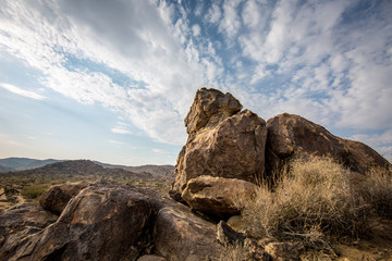 Joshua Tree National Park