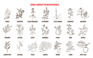 Best herbal remedies for motion sickness - obrazy, fototapety, plakaty