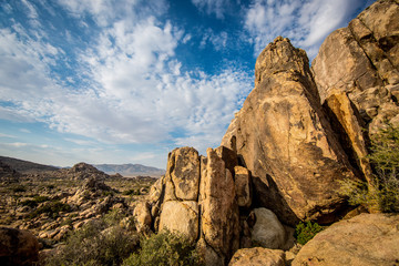 Joshua Tree National Park