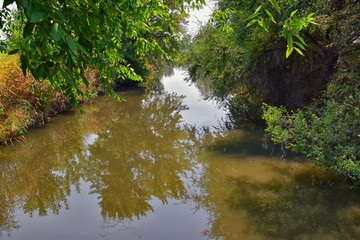 Views of Jordan River Trail with surrounding trees, Russian Olive, cottonwood and silt filled muddy water along the Wasatch Front Rocky Mountains, in Salt Lake City, Utah.