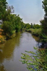 Views of Jordan River Trail with surrounding trees, Russian Olive, cottonwood and silt filled muddy water along the Wasatch Front Rocky Mountains, in Salt Lake City, Utah.