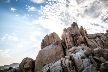 Joshua Tree National Park