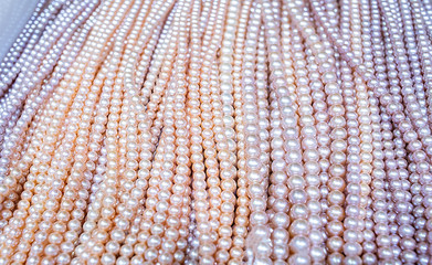 Pearl Beads / Beautiful Pearls in the Jewelry Market