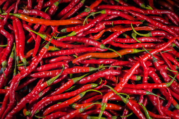 Chili collection Background Photo