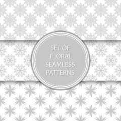 Gray and white floral seamless backgrounds. Compilation of patterns