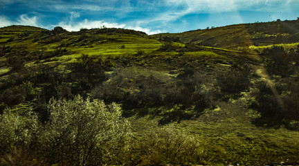 Green hills