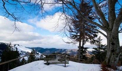 Fototapeta na wymiar Winter in den Höhen von Münstertal im Schwarzwald