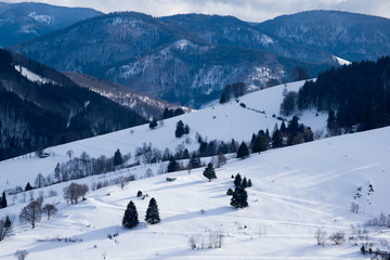Winter auf dem Wiedener Eck im Schwarzwald