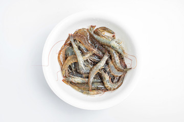 a large bowl of fresh live shrimp