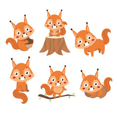 Little cute squirrel in different poses..