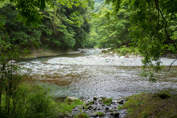 渓谷の河原