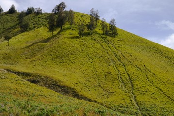 Obraz premium Green hill against blue sky with cloud landscape near Bromo Mountain, Java, Indonesia