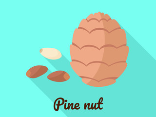 Pine nut icon. Flat illustration of pine nut vector icon for web design