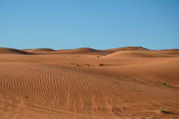 Fototapeta na wymiar Sand dunes of Dubai