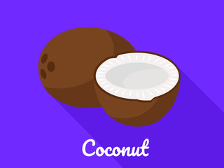 Coconut icon. Flat illustration of coconut vector icon for web design