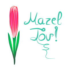 Greeting inscription Mazel Tov translated from Hebrew I wish you happiness. Tulip flower. Vector illustration on isolated background.