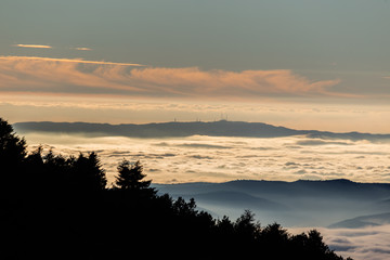 Obraz premium Beautiful view of Umbria valley (Italy) covered by a sea of fog at sunset, with beautiful warm colors and trees silhouettes in the foreground
