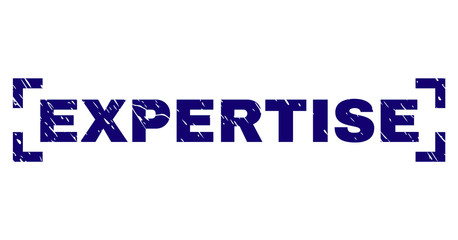 EXPERTISE tag seal print with corroded effect. Text caption is placed between corners. Blue vector rubber print of EXPERTISE with corroded texture.