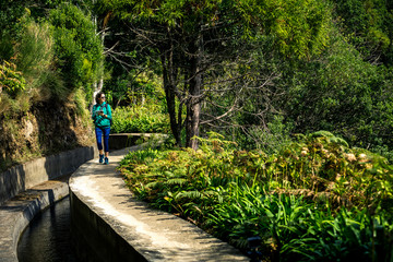 Portrait of young girl in green sweatshirt walking by levana on Madeira island, up in mountains. Hiking by the trail among green, tropical and old forests. Portugal. - 247117556