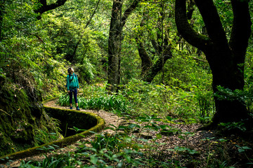 Naklejka na ściany i meble Portrait of young girl in green sweatshirt walking by levana on Madeira island, up in mountains. Hiking by the trail among green, tropical and old forests. Portugal.