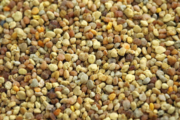 Blütenpollen © normankrauss