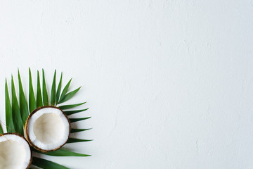 summer vacation, paradise, travel. ocean shore, tropical beach, sea coast. coconut palm leaves on white background. minimal summertime concept. creative layout, banner, poster template with copy space