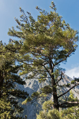 Very high mountain peaks around Samaria gorge, south west part of Crete island, Greece