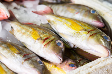 Fresh fish is selling on a local fish market in Jimbaran, Bali