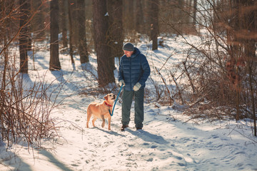 A man with a dog on a leash walking on the snowy winter pine forest