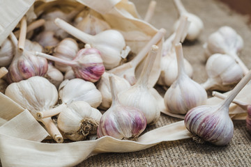Bulbs of natural organic farm garlic in a cotton bag scattered on a linen mat.