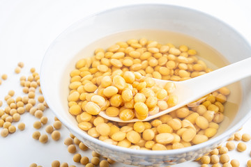 a bowl of soaked soy / wet soy beans