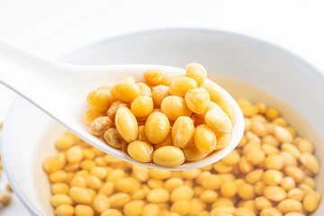 a bowl of soaked soy / wet soy beans