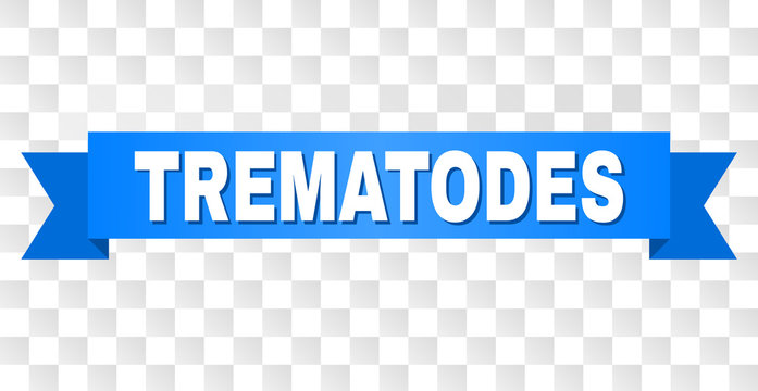 TREMATODES text on a ribbon. Designed with white caption and blue stripe. Vector banner with TREMATODES tag on a transparent background.